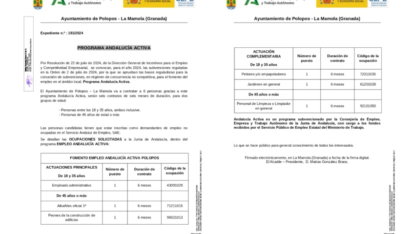 PROGRAMA ANDALUCÍA ACTIVA